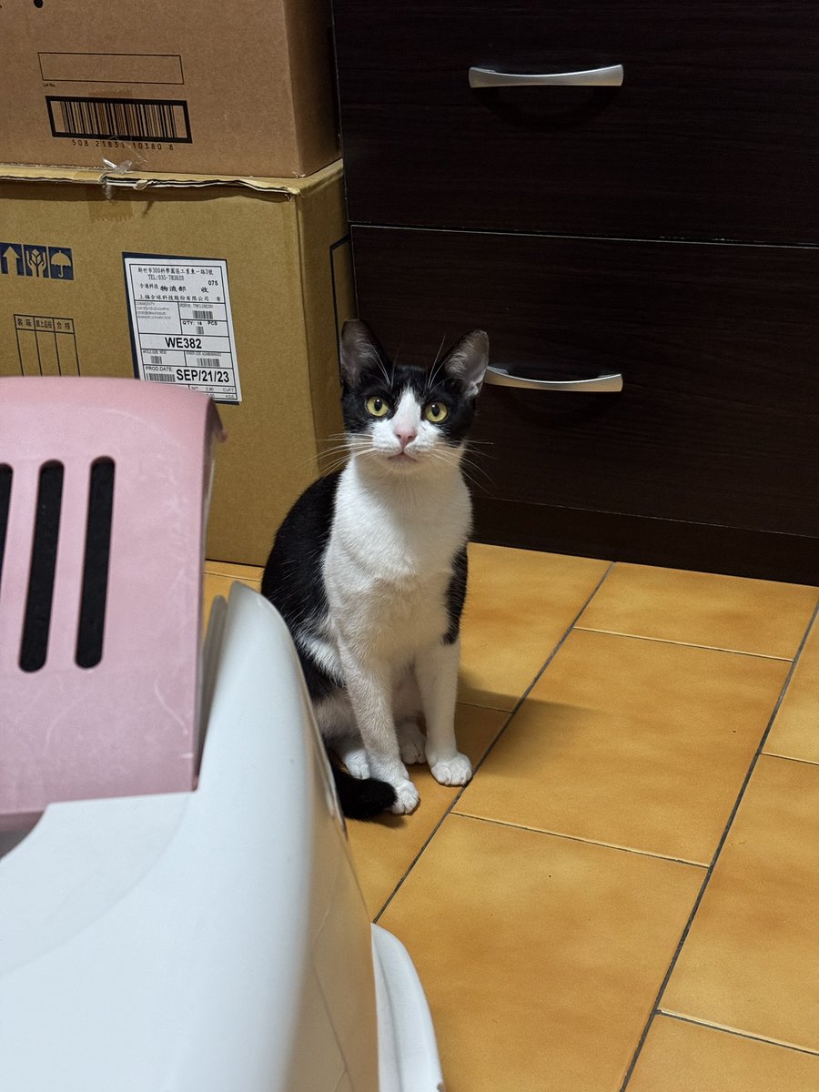 SC2TheWAY's tweet photo. :3 https://t.co/GgAD1Vhytr