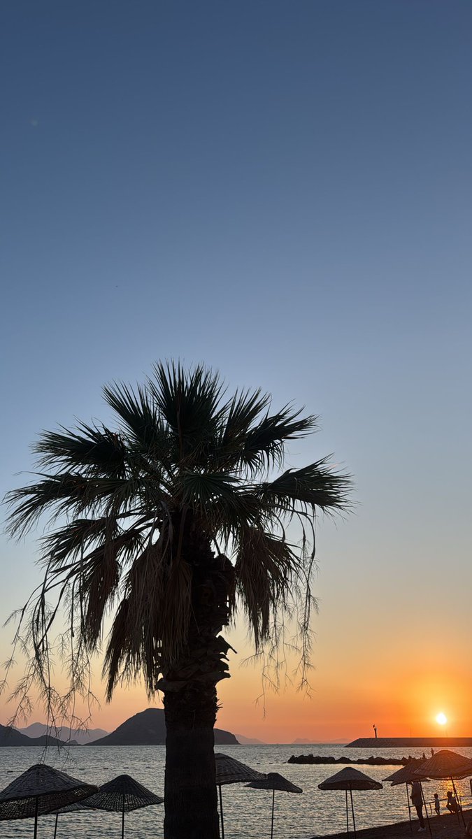 sevincborsa's tweet photo. Bazı manzaralar konuşmaz, sadece iyi gelir...
Hadi biraz mola 💕
#bodrum
#kalbim ❤️ https://t.co/mpva2hQ85N