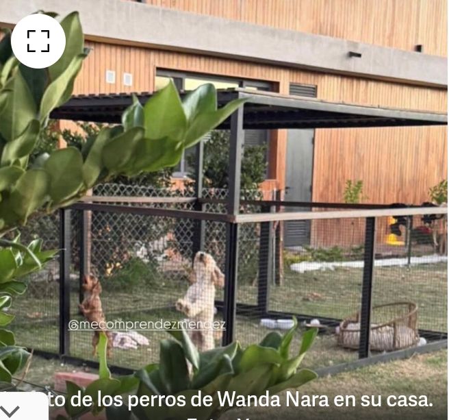 StoccoSabina's tweet photo. @angiebalbiani Tiene q llevarse los 5 perros q la "La Sra Nara" dejó el verano en una jaula al sol xq no los llevó a su casa en la playa o se fue a Europa? La q secuestró a sus hijas le cobra caución también x los perros?
Justicia payasa.
Q se vaya el padre. Argentina es una trampa. https://t.co/XLJ3HrQ2Js