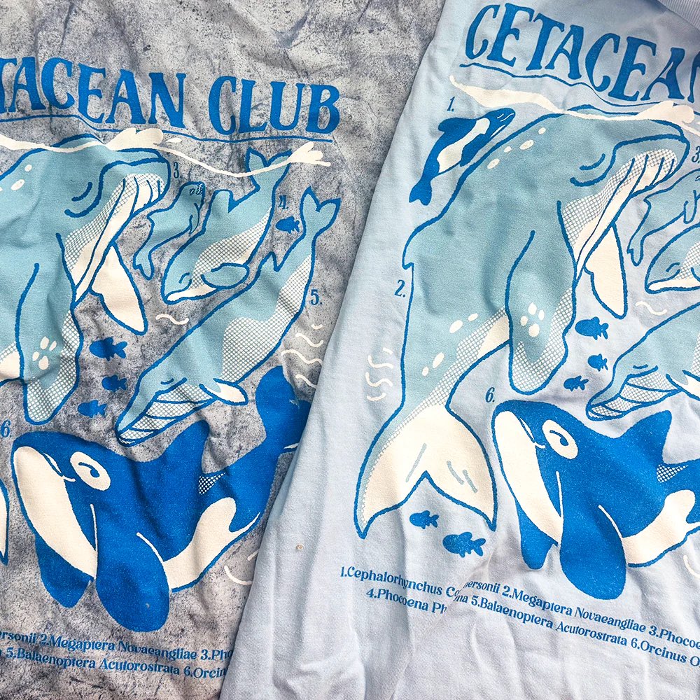 fiveboos's tweet photo. Cetacean shirts are up! https://t.co/iCeI5xa6e2