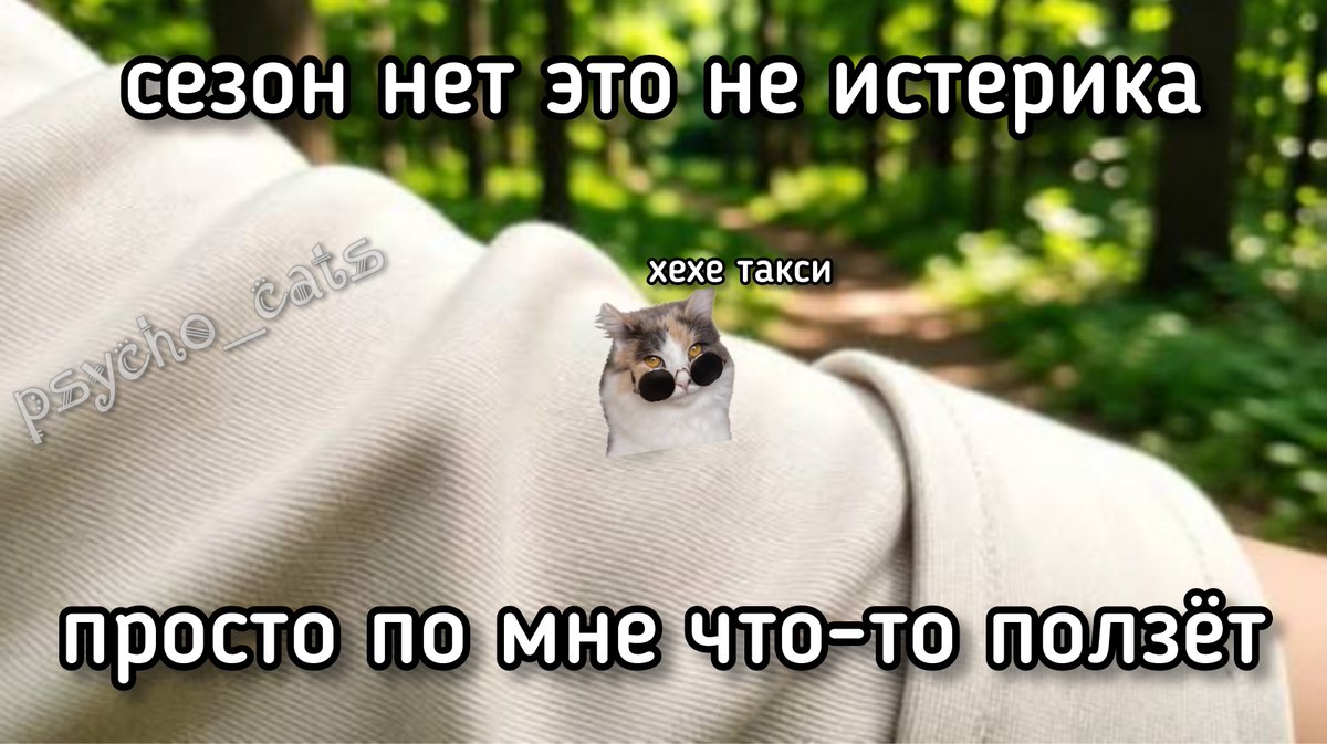 psycho__cats's tweet photo. https://t.co/K0oyE7awFG