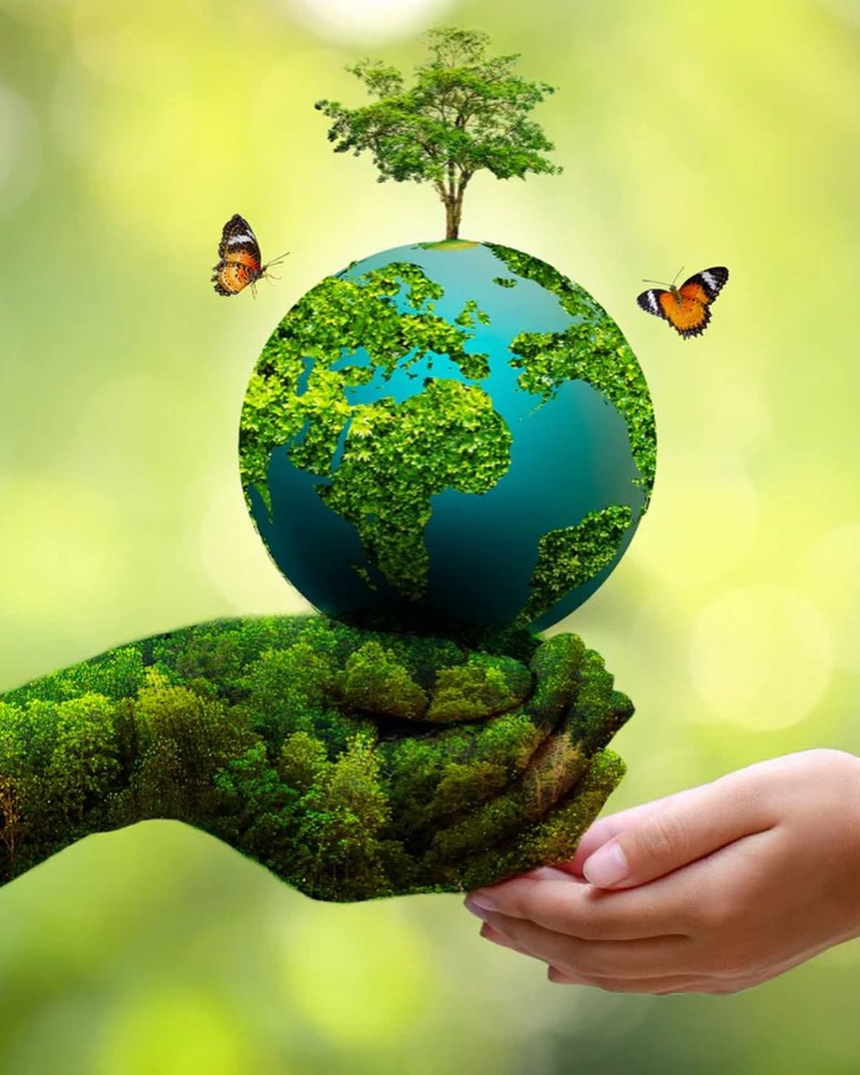 pranjal_duttaa's tweet photo. World Environment Day 2026 https://t.co/hgRSIL8yXj