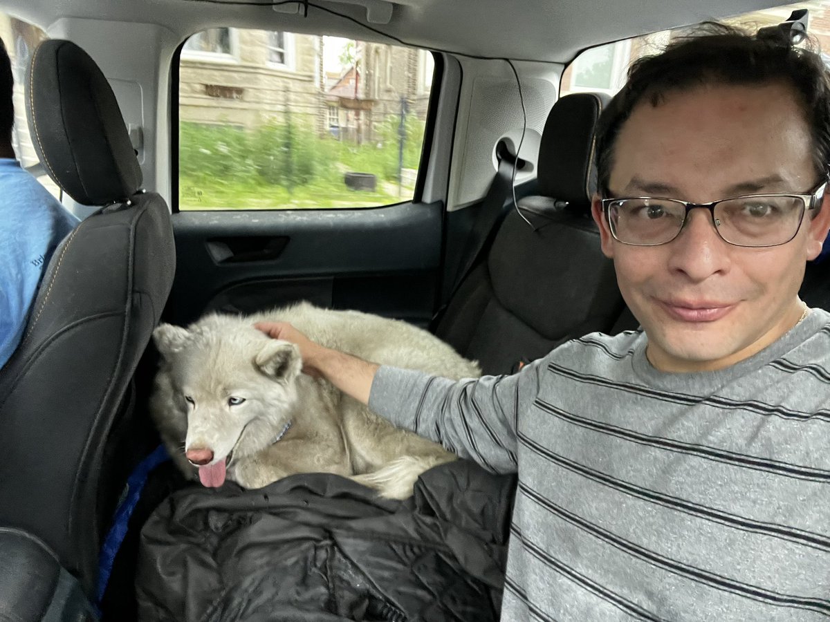 RaymondALopez's tweet photo. While driving to the Krystal Rivera Memorial, we saw this poor girl running along the boulevard. Thankfully we were able to stop &amp; collar her with the help of neighbors (and hot dogs). We will monitor her progress at @ChicagoACC &amp; hopeful connect her back to her rightful owners. https://t.co/3Deb633sT1