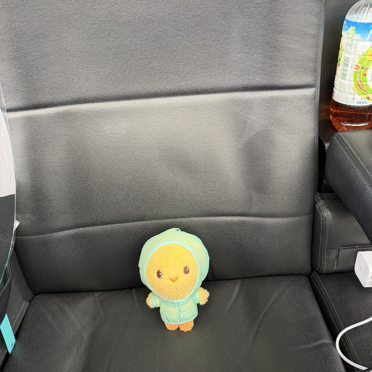 chie6833's tweet photo. 🐤いちにちめはしゃちょうさんのいすだったよ https://t.co/H51FLKwbRb