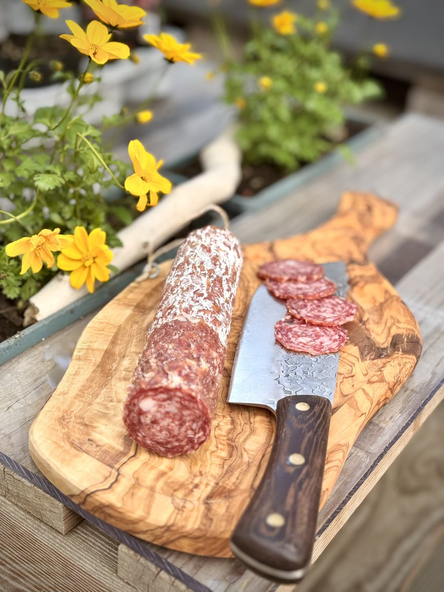 vopicisko's tweet photo. Tenhle salámek jsem si přivezl z Pitigliana 🇮🇹. Je z rodinného řeznictví Salumi Giovannino, dělají salámy a sušené maso z divočáka tradičními starými postupy. 🐗
V jejich obchodech si jen tak visí a měsíce schnou i velké kusy masa. Radost pohledět. 
#salumi #cinghiale #pitigliano https://t.co/bJfC2nywjQ