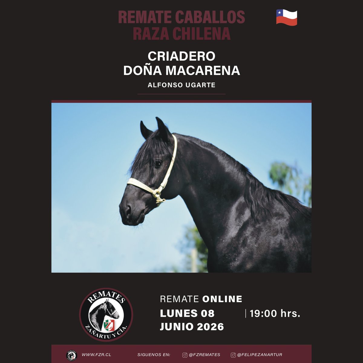 fzremates's tweet photo. Remate Online 08 Junio 2026 Criadero DOÑA MACARENA #FZRemates Más información en https://t.co/pHEjoB7IT2 https://t.co/N62Ol2QFJd