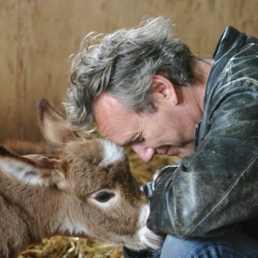 mollystannon's tweet photo. two of my favorite pictures of anthony stewart head i have on my phone. truly the sweetest soul. ❤️ https://t.co/7vsJJwAfPY