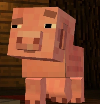 joshishere0_'s tweet photo. NOT MY GOAT PIG https://t.co/E3iySGkn6u