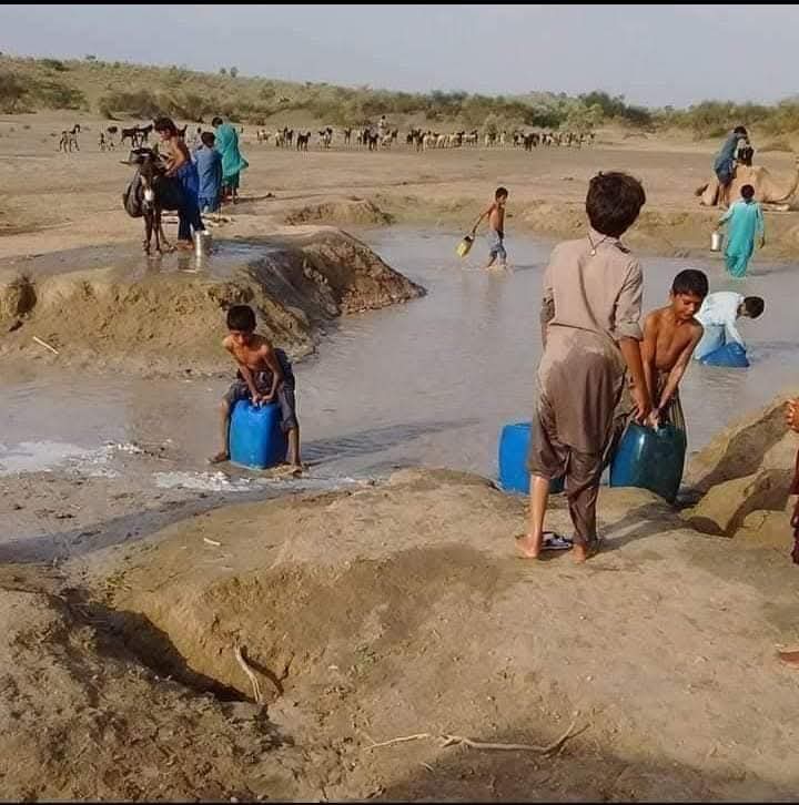 jameel_panyo's tweet photo. سنڌ کي پنهنجي حصي جو پاڻي ڏيو ۔ پاڻي ڏيو سنڌو کي نه سڪايو ۔
#SindhNeedsWater https://t.co/JiITUju4he