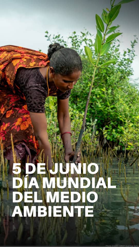 calidadermp's tweet photo. Con motivo de Día Mundial del Medio Ambiente se celebró el acto por dicha fecha con la presencia altos dirigentes del territorio y  la ERMPIJ fue galardonada con la distinción "Huella Verde de Fidel" por su trabajo sostenido en su preservación.
#SentirPinero 
#IslaDeLaJuventud https://t.co/mqZc5NRIgS