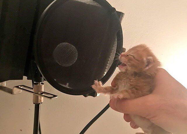 exiiiiit5's tweet photo. あなたのともだちどこですか🎶はやくみつけてあそびたい🎶あそぶことしかできないなぁ〜🎶ぼくにはあそぶこと〜ばかりしか〜かんがえられないです🎶 https://t.co/4A34rMgKG1