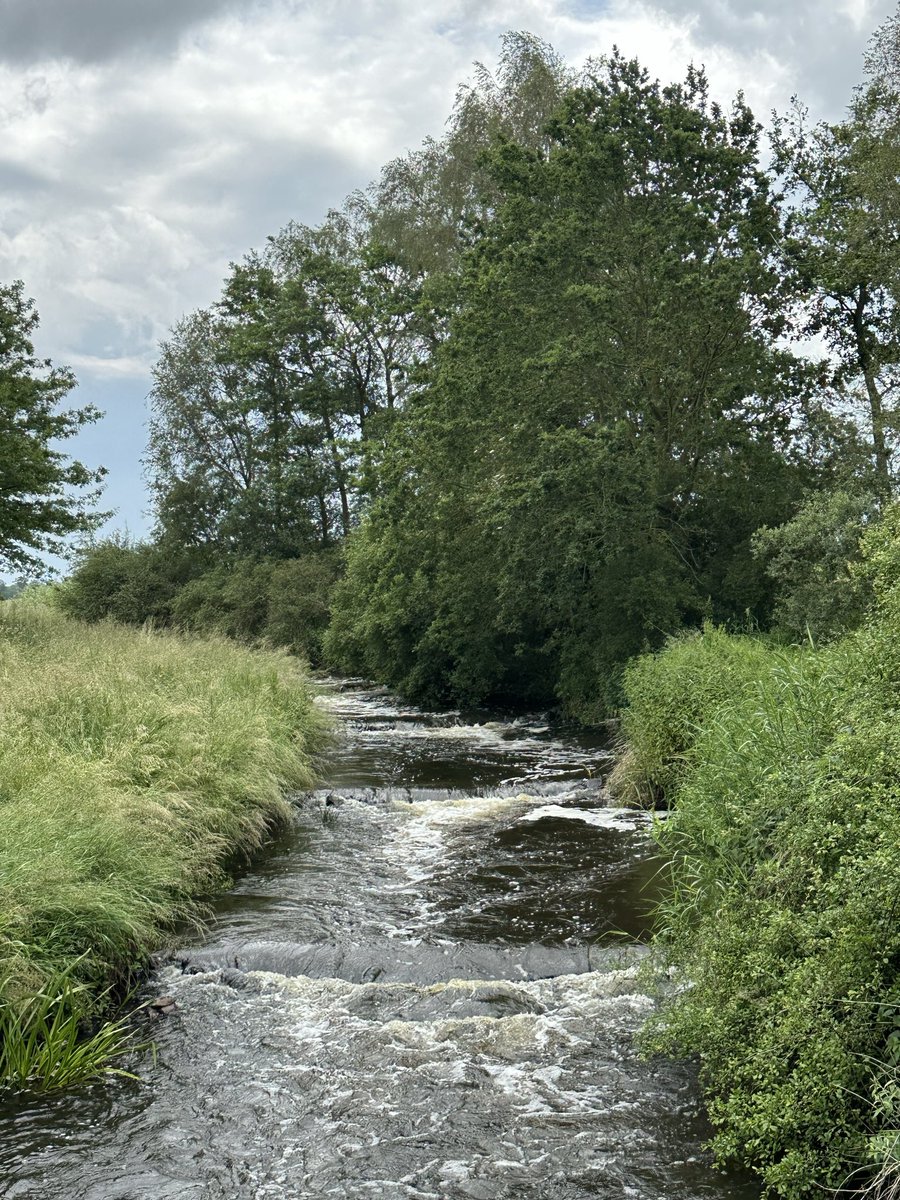 Leoniet77's tweet photo. Heerlijke gezellige wandeling van ruim 11 km bij Dalfsen https://t.co/xPeYYuARng