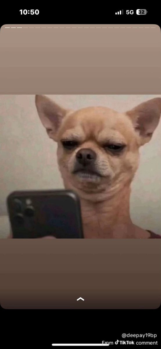 SOMTOCHUKWU 🥷 tweet media