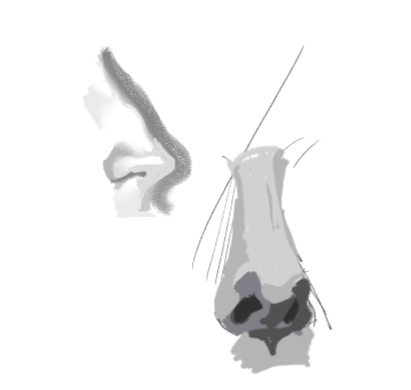 oddfolly's tweet photo. value studies https://t.co/lZZ2N5eHId