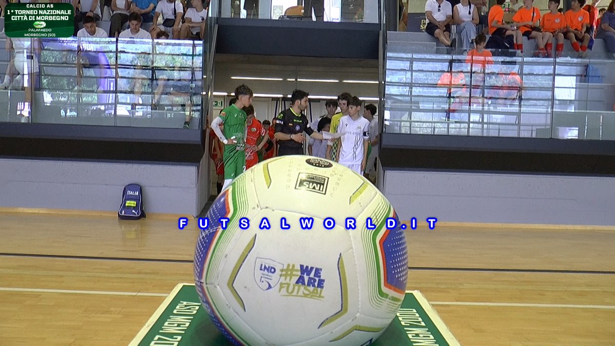 futsalworld's tweet photo. ⚽Torneo Nazionale Città di Morbegno⚽Mgm 2000 - Cdm Futsal Genova (U15) ⚽
Su https://t.co/LV6tCsVJmD sono on line 200 foto . . . . in home page cliccare sul logo "Tornei vari Altre partite" poi andare alle date 30-31/5 e 1-2/6 ⚽ #futsalworld @futsalworld.it https://t.co/I9vH7sDzPr
