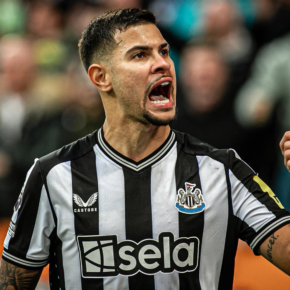 TheMatchdayHQ's tweet photo. 🚨🇧🇷 | 𝐁𝐑𝐄𝐀𝐊𝐈𝐍𝐆: Arsenal are PREPARING an offer to sign Newcastle midfielder Bruno Guimarães this summer.

The Gunners are ready to test Newcastle’s resolve with an official offer, with Mikel Arteta pushing for the Brazilian's signature.

[@fichajesnet @footyinsider247] https://t.co/XHUVXp9SPs