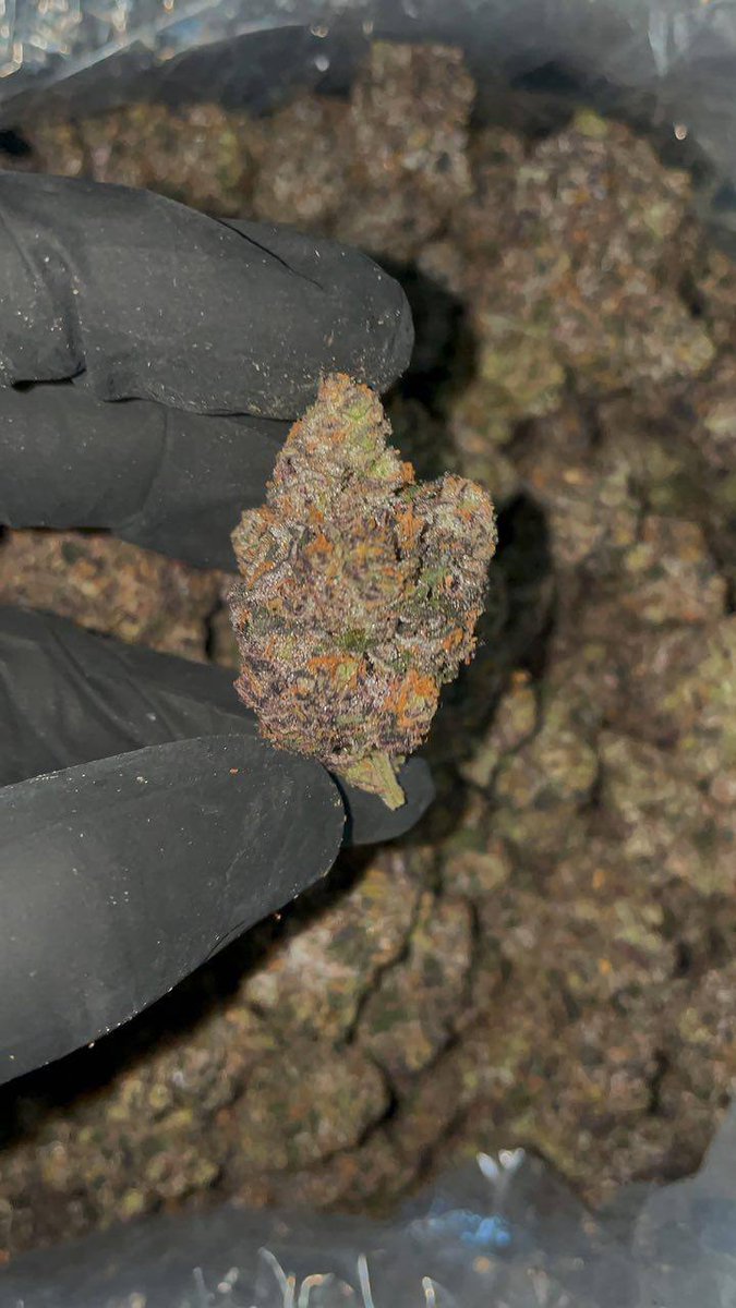 SUBXWA1's tweet photo. Zoap Burzts Breakdown🔥🔥 https://t.co/zGOno1D1u8