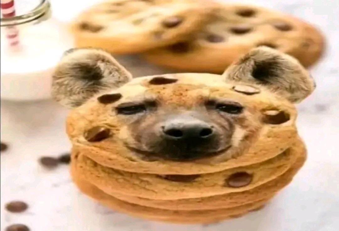 Slate0341's tweet photo. @lavandark Hehe I’m the cookie 💚 https://t.co/wdzHItFz1M