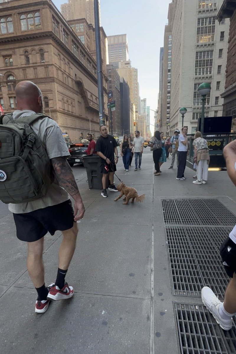 PoliticsOnX's tweet photo. 🚨 🔥#IDENTIFIED: The man who aggressively pulled his golden poodle while confronting independent journalist .@nickshirleyy in NYC, yelling racist/Islamophobic accusations is **Thomas Sun, Esq.**
https://t.co/ZHfBzWNP2y
(gun-to-the-head gesture)
“someone is going to find you”
Thomas Sun runs The Law Offices of Thomas Sun** — a small practice focused on immigration, real estate, family law, and business matters.
📍 Office: 139 Centre Street, Suite 616, New York, NY 10013 (Chinatown, Manhattan)
☎️ (212) 966-2116
Education: Brooklyn Law School
Admitted: New York & New Jersey bars (since ~1999)
This is all from his own public law firm site (tsunlaw(dot)weebly(dot)com), Avvo, LinkedIn, Justia, and other attorney directories.
Public figures who confront people on camera with threats should expect public scrutiny. Threats of violence aren’t protected speech.
Nick Shirley does important work exposing fraud and deserves to walk the streets without this.
What do you think should happen next?
Full original video below: 👇
#NickShirley #NYC #BreakingNews