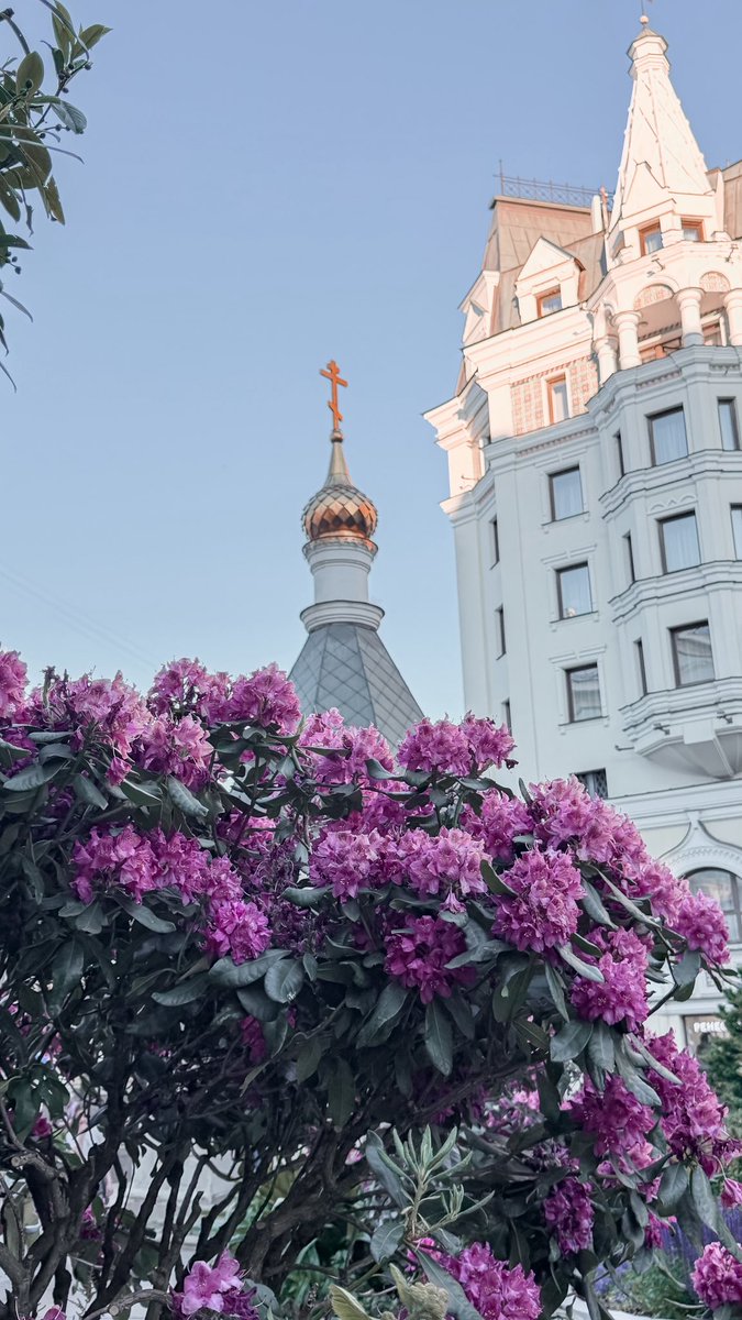 sucillda's tweet photo. яяяяя люблю тебяя москваааа https://t.co/U2RutD3rUt