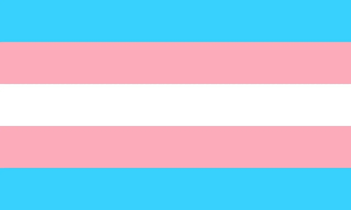 Volatile_flint's tweet photo. @h1pol4r Hola Hipolar! ¡Feliz mes del orgullo! Celebrando el amor, la diversidad y la igualdad, amor es amor ❤️ https://t.co/eP8h15vpV6