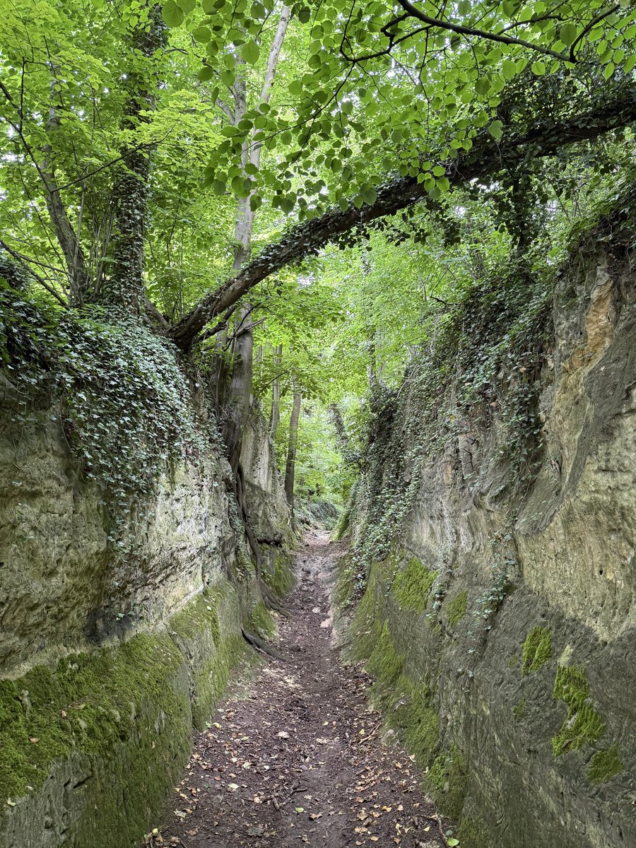 mathilebrandts's tweet photo. Trees &amp; rocks https://t.co/AWhK5yP7gh