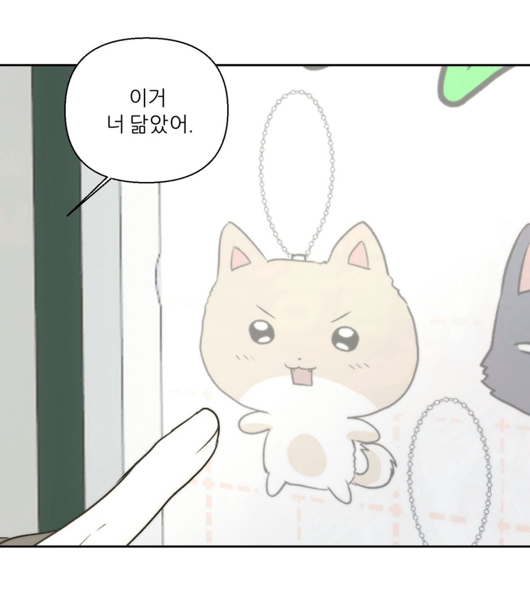 코이⸒⸒ tweet media
