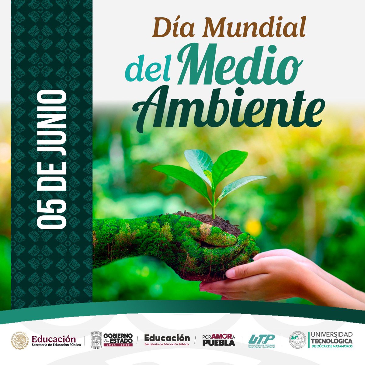 SoyUTIM's tweet photo. 🌱 05 de Junio – Día Mundial del Medio Ambiente
Hoy recordamos que cuidar el planeta está en nuestras manos. Cada acción cuenta para proteger nuestros recursos, biodiversidad y el futuro de las próximas generaciones 🌍💚 https://t.co/nRdErXClGQ