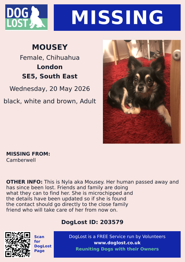 millypod1's tweet photo. 🆘28 MAY 2026 #Lost Mousey/Nyla #ScanMe
Chihuahua Female   PLEASE SHARE
#Camberwell #SE5 #London #GreaterLondon
https://t.co/Kp8eGLylLJ https://t.co/E7z41jC3Kn