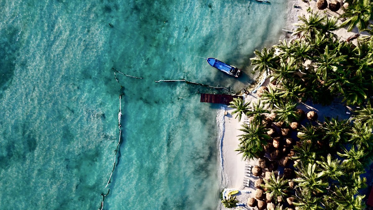 mroblesg's tweet photo. Un día como hoy, hace un año, la presidenta @Claudiashein presentó la Estrategia Nacional de Limpieza y Conservación de Playas y Costas mexicanas 🏝️

Un compromiso con nuestros ecosistemas marinos: https://t.co/WK7l2wJZVI
#DíaMundialDelMedioAmbiente
#ClaudiaDaResultados 

🧵1/3 https://t.co/N5SU7Z22Os