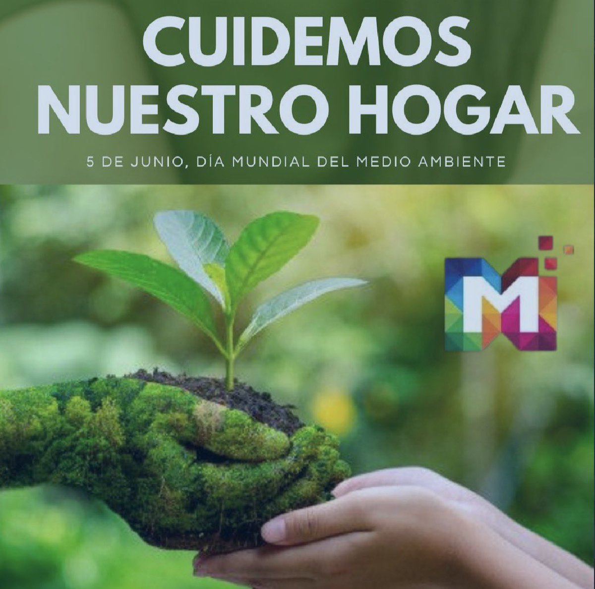 Mega_Direct_of's tweet photo. El Día Mundial del Medio Ambiente ha servido para profundizar la conciencia #ambiental y ha generado acciones significativas a nivel global, incluye actividades, como plantaciones de árboles, y campañas de #reciclaje, reflejando el compromiso global con la mejora ambiental. https://t.co/bTRNa2Bn3C