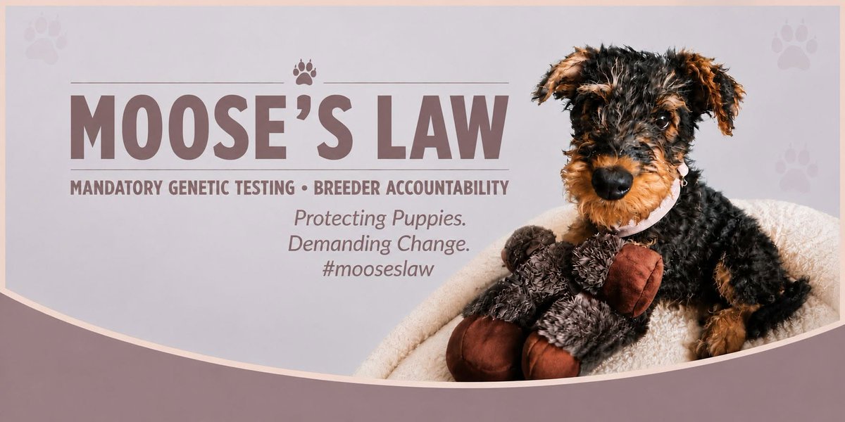 mollybear68's tweet photo. Please feel free Share, Save and Use on all your Platforms. 
Don't forget the #mooseslaw
@PeterEgan6 @marcthevet @scanme_tukslaw @WalkandWatch @muddypawscrime @rickygervais https://t.co/7BM5RltQda