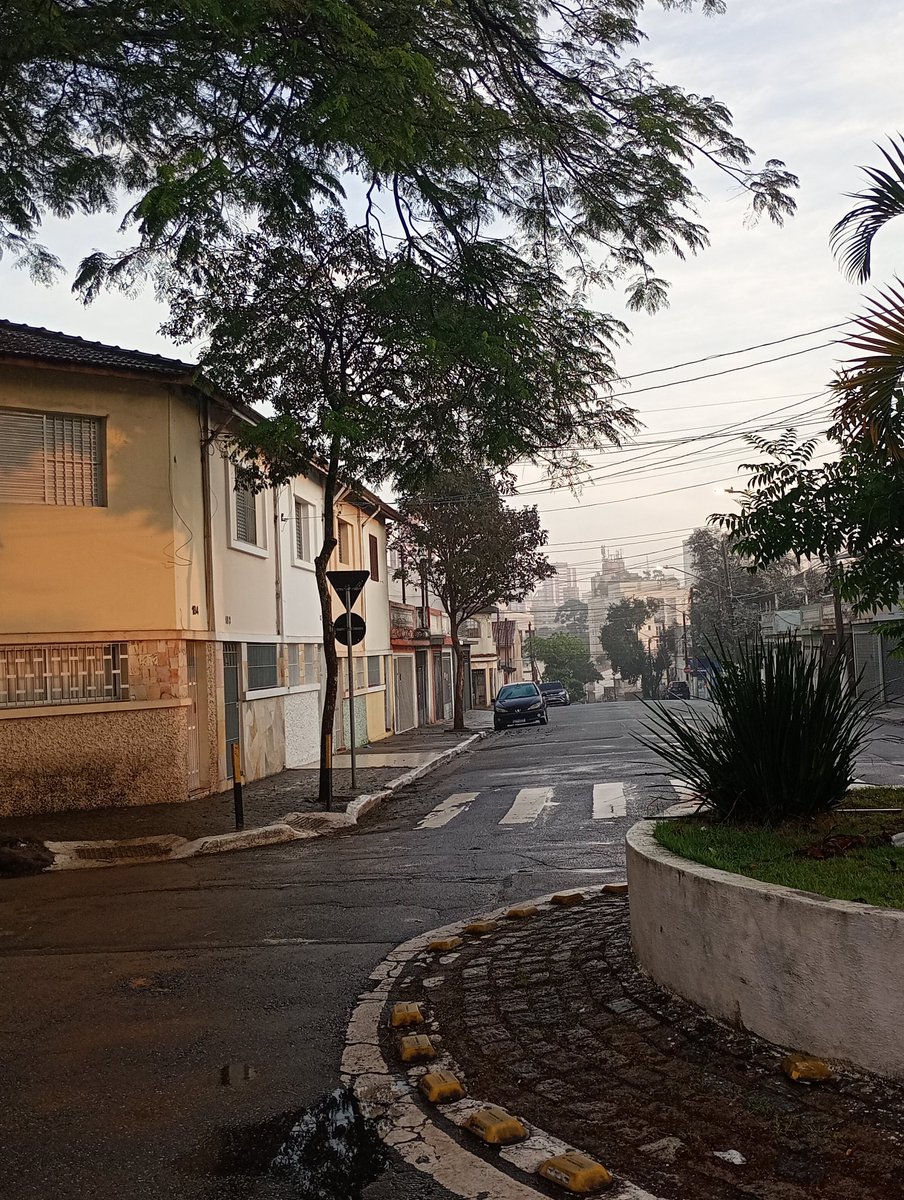 MCount40K's tweet photo. I live in a very unBrazilified area of Brazil https://t.co/H2SG3PqtRl