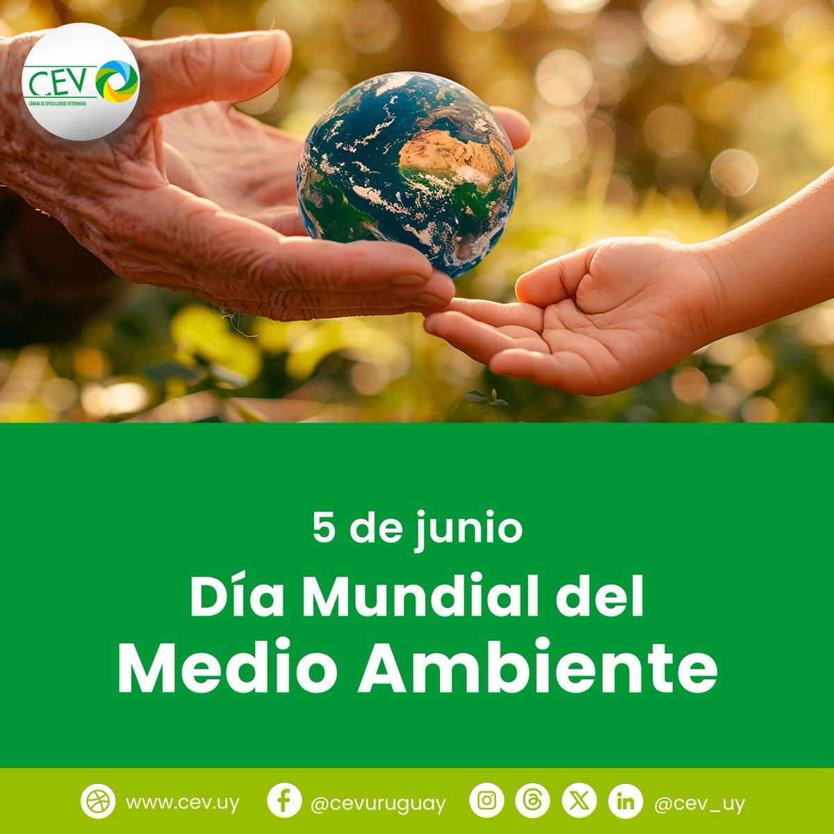 cev_uy's tweet photo. ☑️ En este #DíaDelMedioAmbiente, desde la #CEV renovamos nuestro compromiso con una industria que promueva prácticas responsables y sostenibles.

🤝 Participamos activamente en dos planes nacionales de gestión de residuos de productos veterinarios: PLESEM y CEV Ganadero, promoviendo la recolección y disposición final adecuada de envases.

▶️ Como parte de la responsabilidad extendida del fabricante, CEV lidera el Plan CEV Ganadero, enfocado en los envases utilizados en la producción agropecuaria.

🔗 Conozca más sobre nuestros planes de gestión en: https://t.co/VbPhMOyFzA
