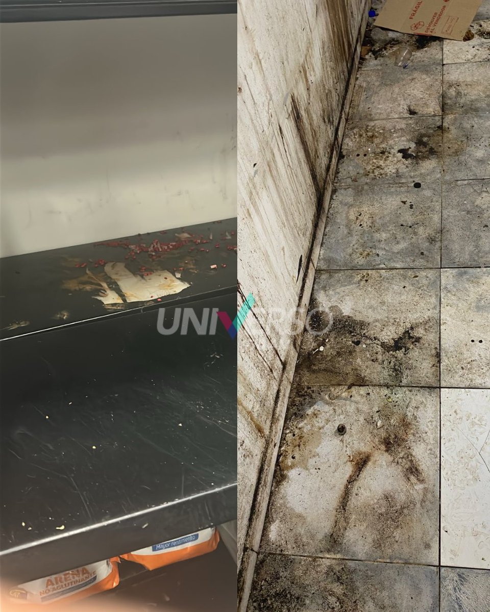 Universo970py's tweet photo. #Nacionales | 🛒Crecen las denuncias contra Biggie por supuestos abusos laborales y estado insalubre.

🔹 La crisis laboral en la cadena Biggie sigue generando denuncias por parte de trabajadores, quienes aseguran ser víctimas de constantes descuentos salariales por faltas menores. Un funcionario afirmó en #ArribaHoy que llegó a percibir apenas G. 1.800.000 debido a las sanciones aplicadas por la empresa.

🧏🏽 Según el testimonio, los empleados también son responsabilizados económicamente por productos vencidos y hasta por mercaderías robadas durante hurtos en los locales. Incluso relató el caso de una trabajadora que tuvo que enfrentar sola a un delincuente durante el turno nocturno.

👉🏽 Además, denunció que la empresa habría reducido el salario de los trabajadores del turno noche, pasando de G. 3.700.000 al sueldo mínimo. A esto se suman las precarias condiciones laborales, ya que los empleados aseguran realizar tareas de limpieza en sucursales con presencia de ratas y cucarachas.

💻#HoyPy
📻#Universo970AM