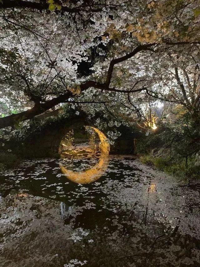 elyradream's tweet photo. moon bridge https://t.co/eQA1z8cPqF