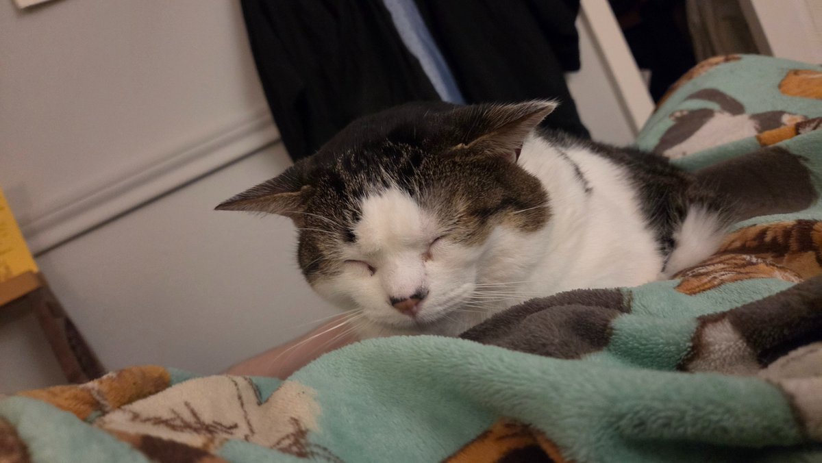 birdwatchbud's tweet photo. Tfw u get ear medicine https://t.co/DvDCDsaem5