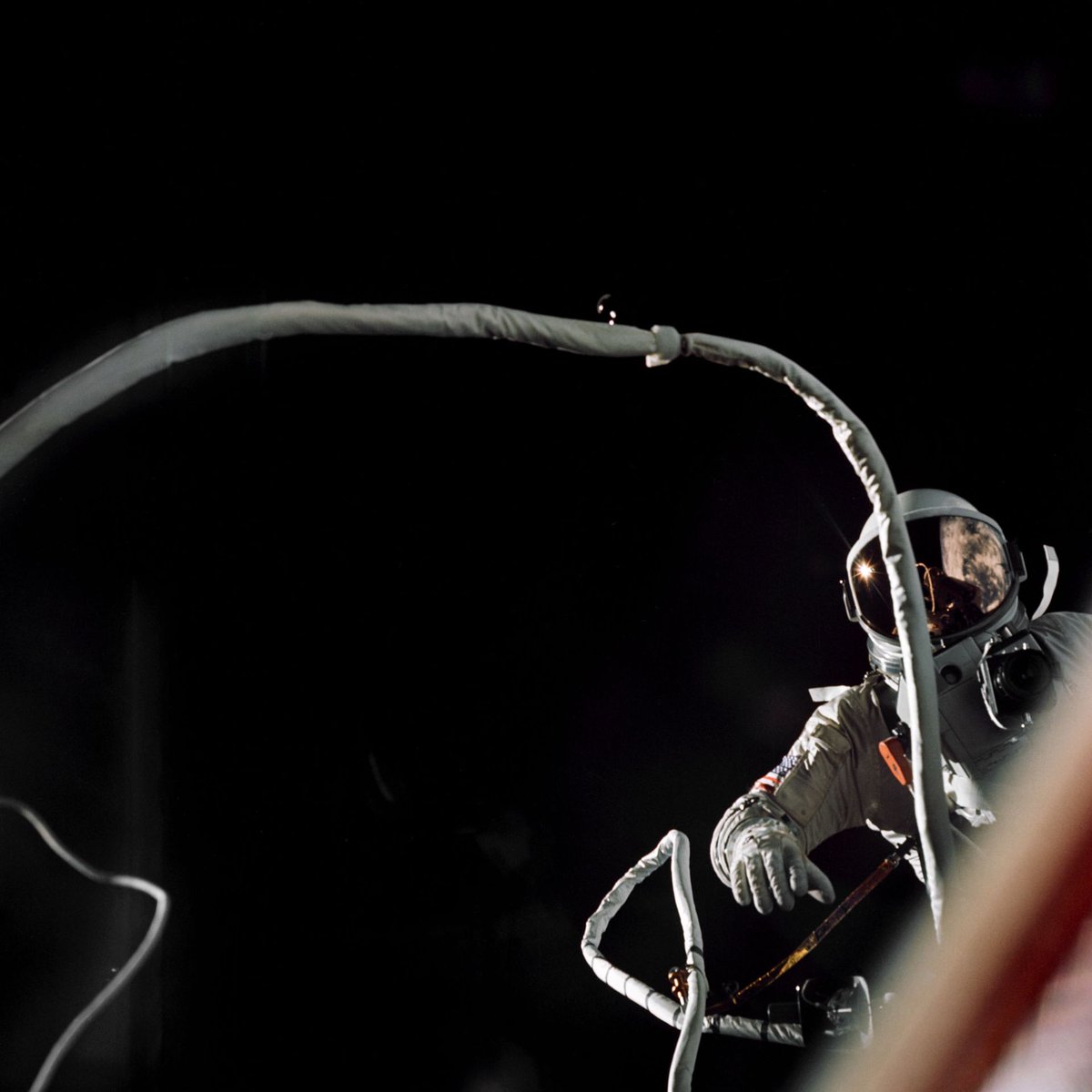 Dare2Bare's tweet photo. First Steps: America’s Grueling Second Spacewalk via @NASA 

https://t.co/p2rAgyECzJ https://t.co/0cWc9MQGdb