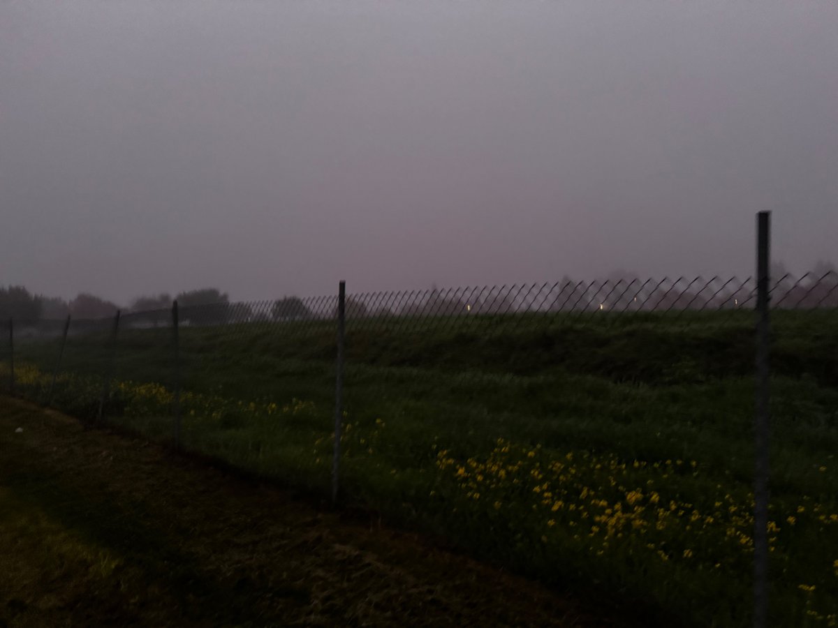 Radio_Darling's tweet photo. @cyngularityyy more like grey everything, never seen fog quite like it https://t.co/RmdliWKKah