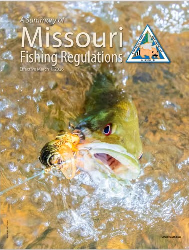 MDC_online's tweet photo. Get hooked on fishing with MDC Free Fishing Days this weekend! Get details at https://t.co/QxAdCJZ1zE https://t.co/dA5GInNxAo