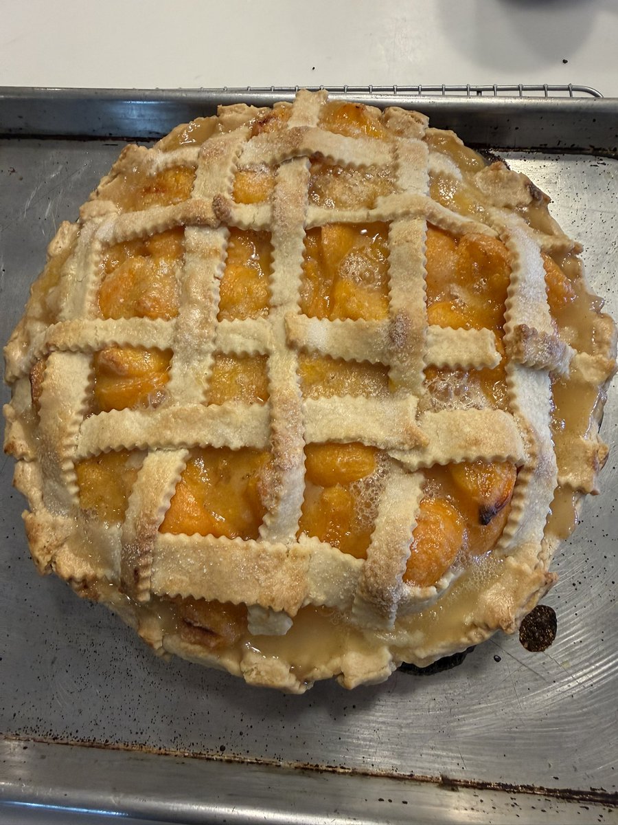 dampedspring's tweet photo. Made this while shitposting.  frog hollow farm fresh apricot pie https://t.co/eXfkC1quYG