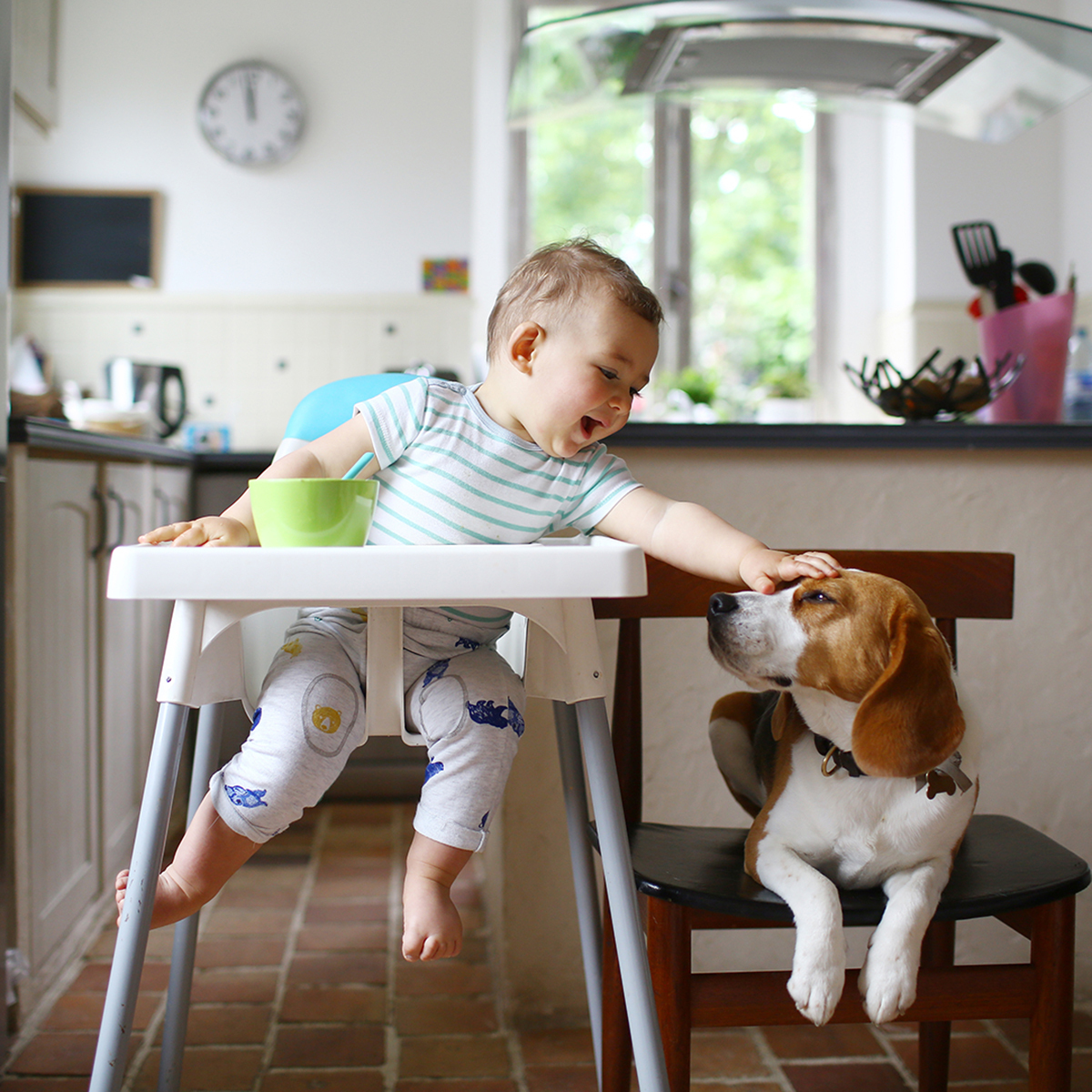 Sam_Farmers's tweet photo. Share a photo of your pet! Did you know that Farmers® provides a range of pet insurance plans, offered and administered through Pets Best? Reach out to me if you have any questions. https://t.co/EX6rddBfP6