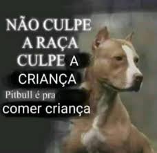 caralho dos infernos tweet media