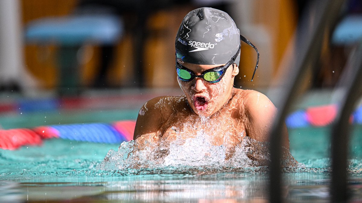 Saudi_Swimming's tweet photo. 📸| 

لقطات من منافسات اليوم الأول لبطولة السباحة لأندية الجنوبية والهيئات 🏆

مسبح مدينة الأمير سلطان بن عبدالعزيز الرياضية بأبها 📍 https://t.co/3W0G3ikhXr