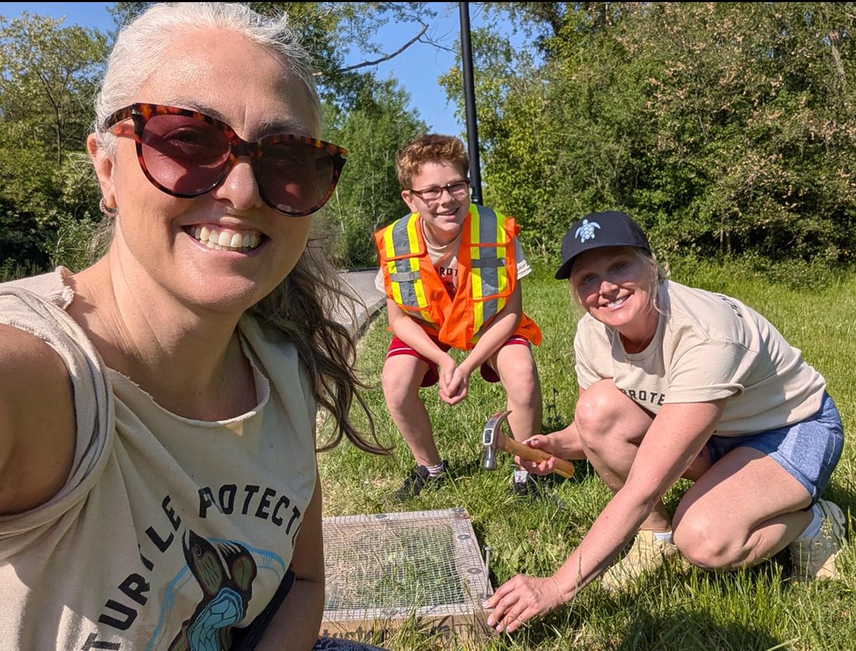 SmytheParkTO's tweet photo. We are so happy to announce that our first turtle nest was protected this morning. Thank you Turtle Protectors for caring for the turtles in Smythe Park!
If you see a turtle on the land please contact the Turtle Hotline at 647-491-4057 https://t.co/liP7N2IwKa