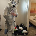 Photo by Thule 🌨️ 🔜IDFK (@ThuleWolf)