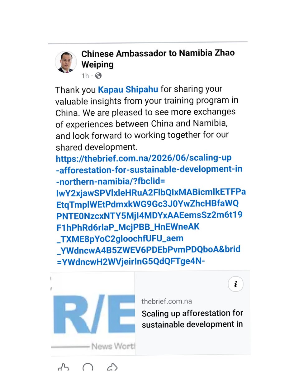 KShipahu's tweet photo. It's World Environment Day 🌍and I am thrilled to share my article as I put  my learnings from the National Academy of Forestry and Grassland Administration into perspectives. Thank you @TheBriefLive
Read about it here: https://t.co/ZGhZU2mjV0 https://t.co/AdAelJlFkr