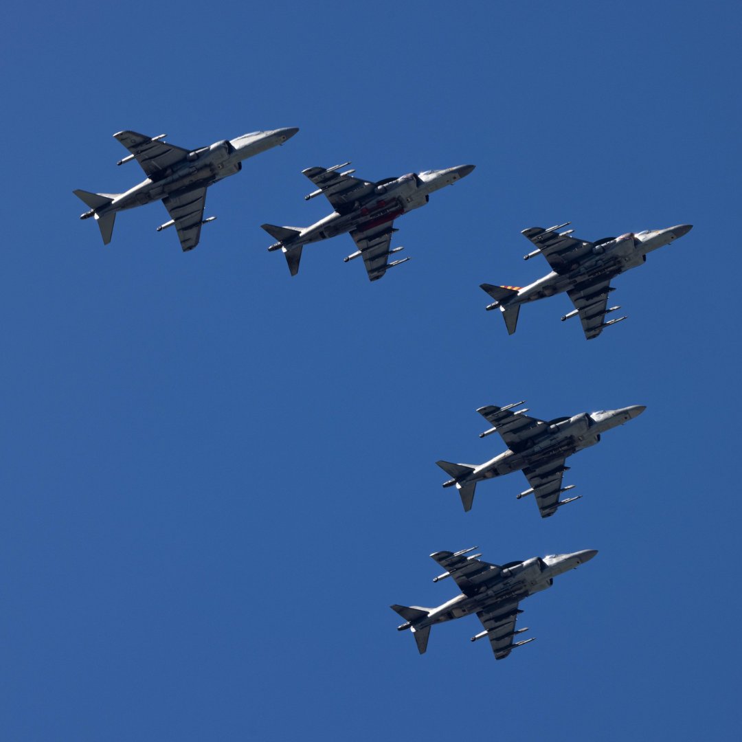 Transponder1200's tweet photo. La U.S. #MarineCorps 🇺🇸 despidió al AV-8B #Harrier II+ en Cherry Point con una ceremonia de “#sundown” encabezada por VMA-223. El avión sirvió 55 años en el Cuerpo de Marines; VMA-223 será reactivado en 2028 como VMFA-223 para volar #Lockheed F-35B. ¡Adiós Vaquero! 😥 https://t.co/bUU9fCTD6c