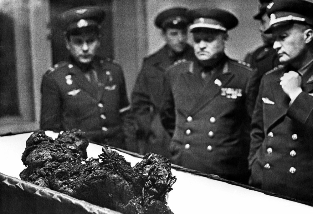 TheStylusGuy's tweet photo. @PugilistProdigy @Kostiantyn1024 I agree. Global leaders in killing stray dogs and cosmonauts. https://t.co/tFLh7FBnfC