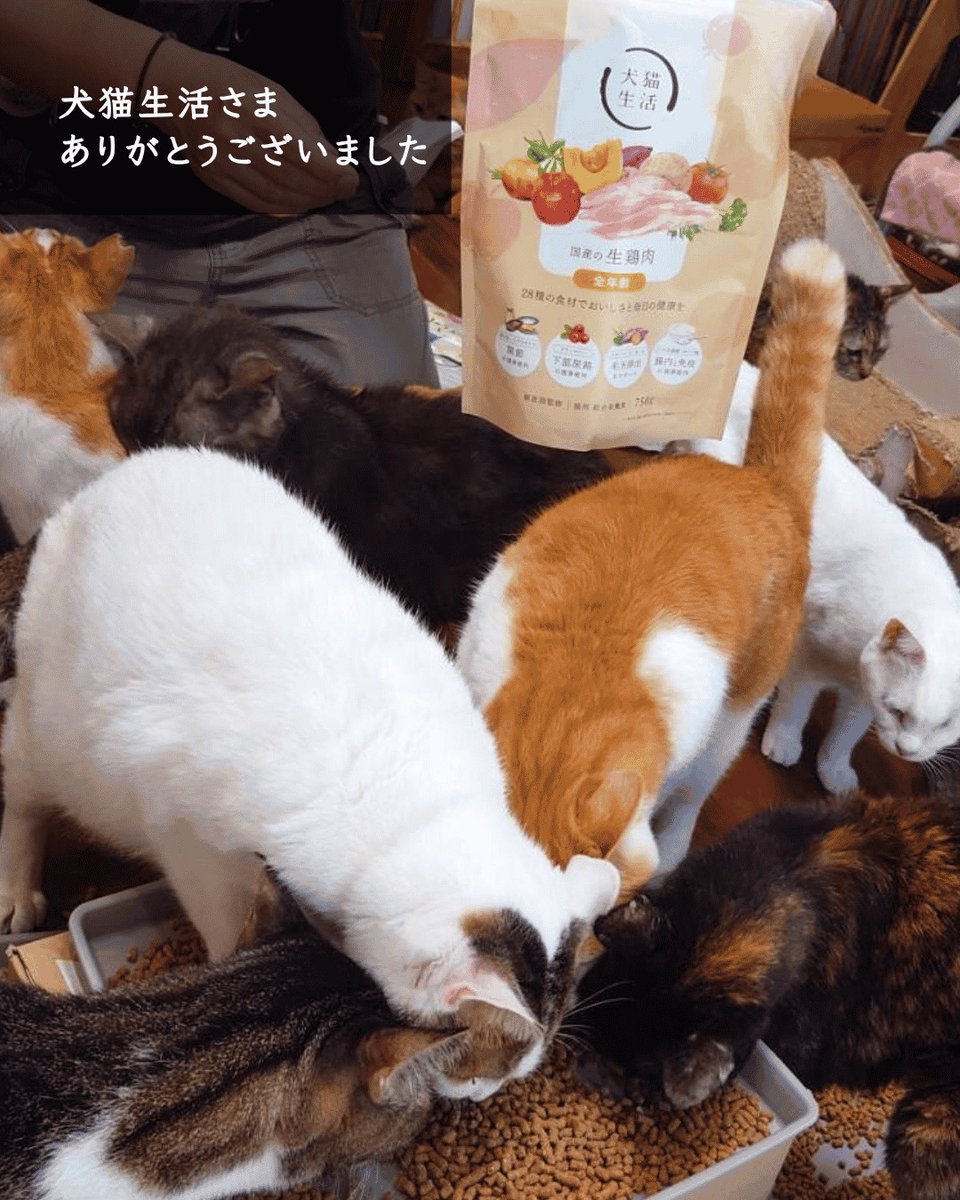 犬猫生活さまよりフードのご寄付が届きました✨ 袋を開ける前から興味